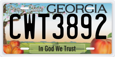 GA license plate CWT3892