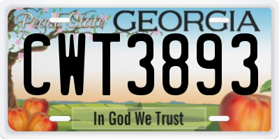 GA license plate CWT3893