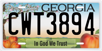 GA license plate CWT3894