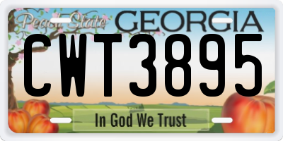 GA license plate CWT3895