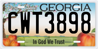 GA license plate CWT3898