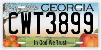 GA license plate CWT3899