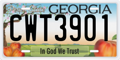 GA license plate CWT3901