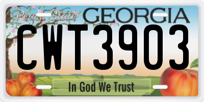 GA license plate CWT3903