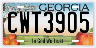 GA license plate CWT3905