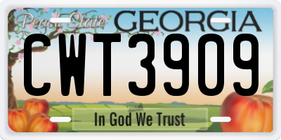 GA license plate CWT3909