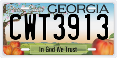 GA license plate CWT3913