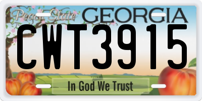 GA license plate CWT3915