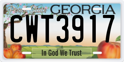 GA license plate CWT3917