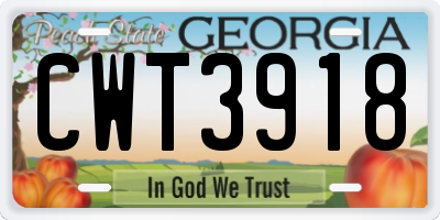 GA license plate CWT3918