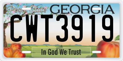 GA license plate CWT3919