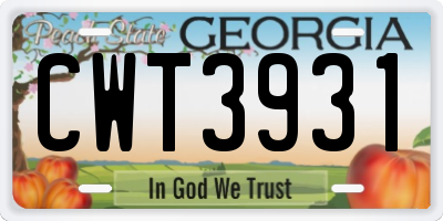 GA license plate CWT3931