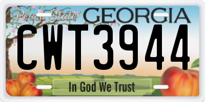 GA license plate CWT3944
