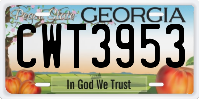 GA license plate CWT3953
