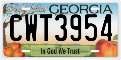 GA license plate CWT3954