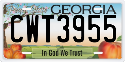 GA license plate CWT3955