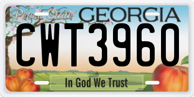 GA license plate CWT3960