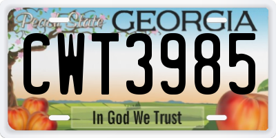GA license plate CWT3985
