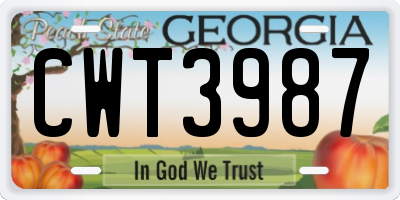 GA license plate CWT3987