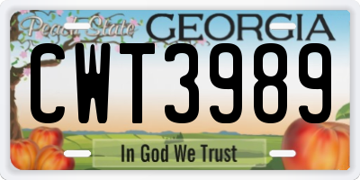 GA license plate CWT3989