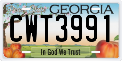 GA license plate CWT3991