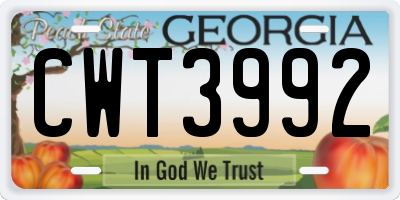 GA license plate CWT3992
