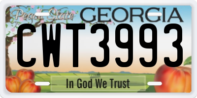 GA license plate CWT3993