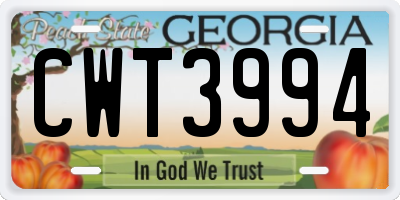 GA license plate CWT3994