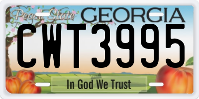 GA license plate CWT3995