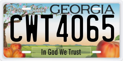 GA license plate CWT4065