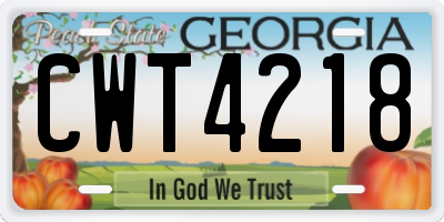 GA license plate CWT4218