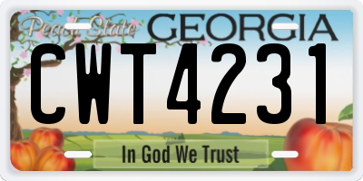 GA license plate CWT4231