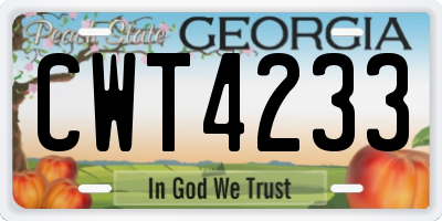 GA license plate CWT4233
