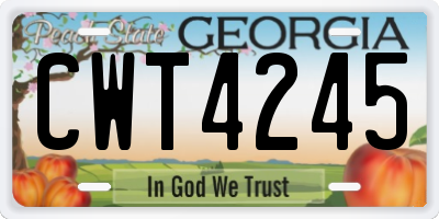 GA license plate CWT4245