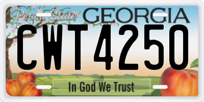 GA license plate CWT4250