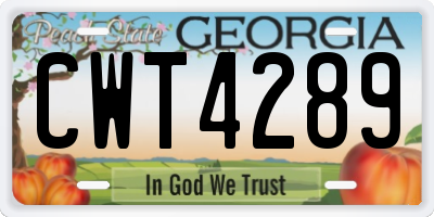 GA license plate CWT4289