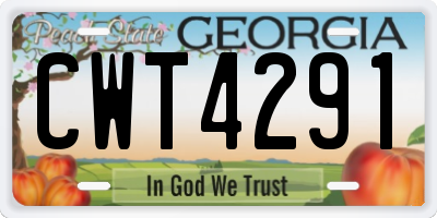 GA license plate CWT4291
