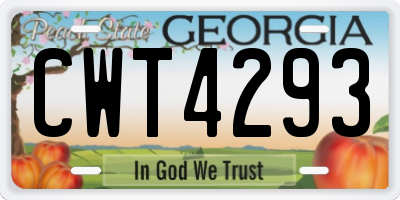 GA license plate CWT4293