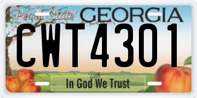 GA license plate CWT4301