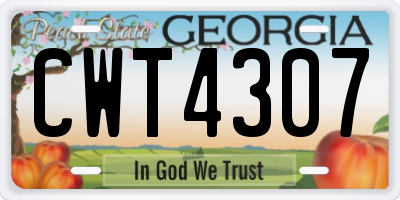 GA license plate CWT4307