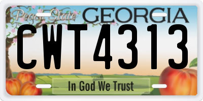 GA license plate CWT4313