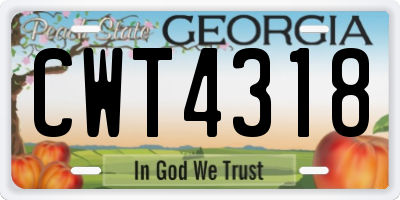 GA license plate CWT4318