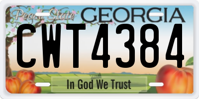 GA license plate CWT4384