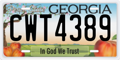 GA license plate CWT4389