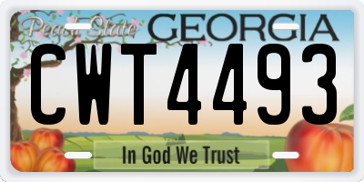 GA license plate CWT4493