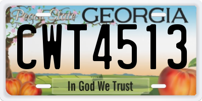 GA license plate CWT4513