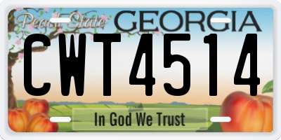 GA license plate CWT4514