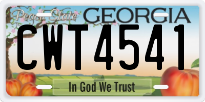 GA license plate CWT4541
