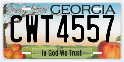 GA license plate CWT4557