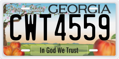 GA license plate CWT4559